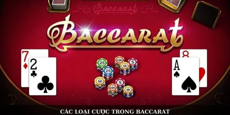 Giao diện chơi baccarat 123B trực quan, rõ ràng và tối ưu cho mọi thiết bị
